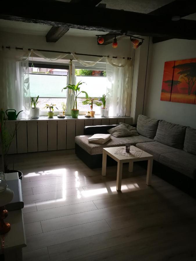 Ferienwohnung Am Finkenherd Dankerode  Exteriör bild